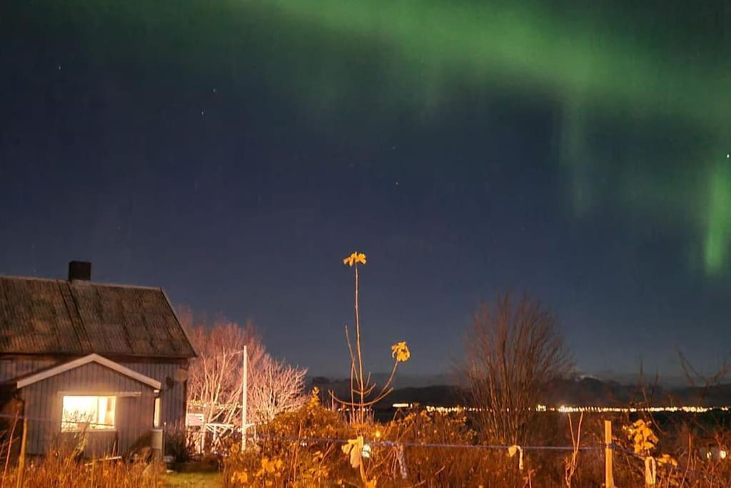 Вилла Paul'S House Saltstraumen Экстерьер фото
