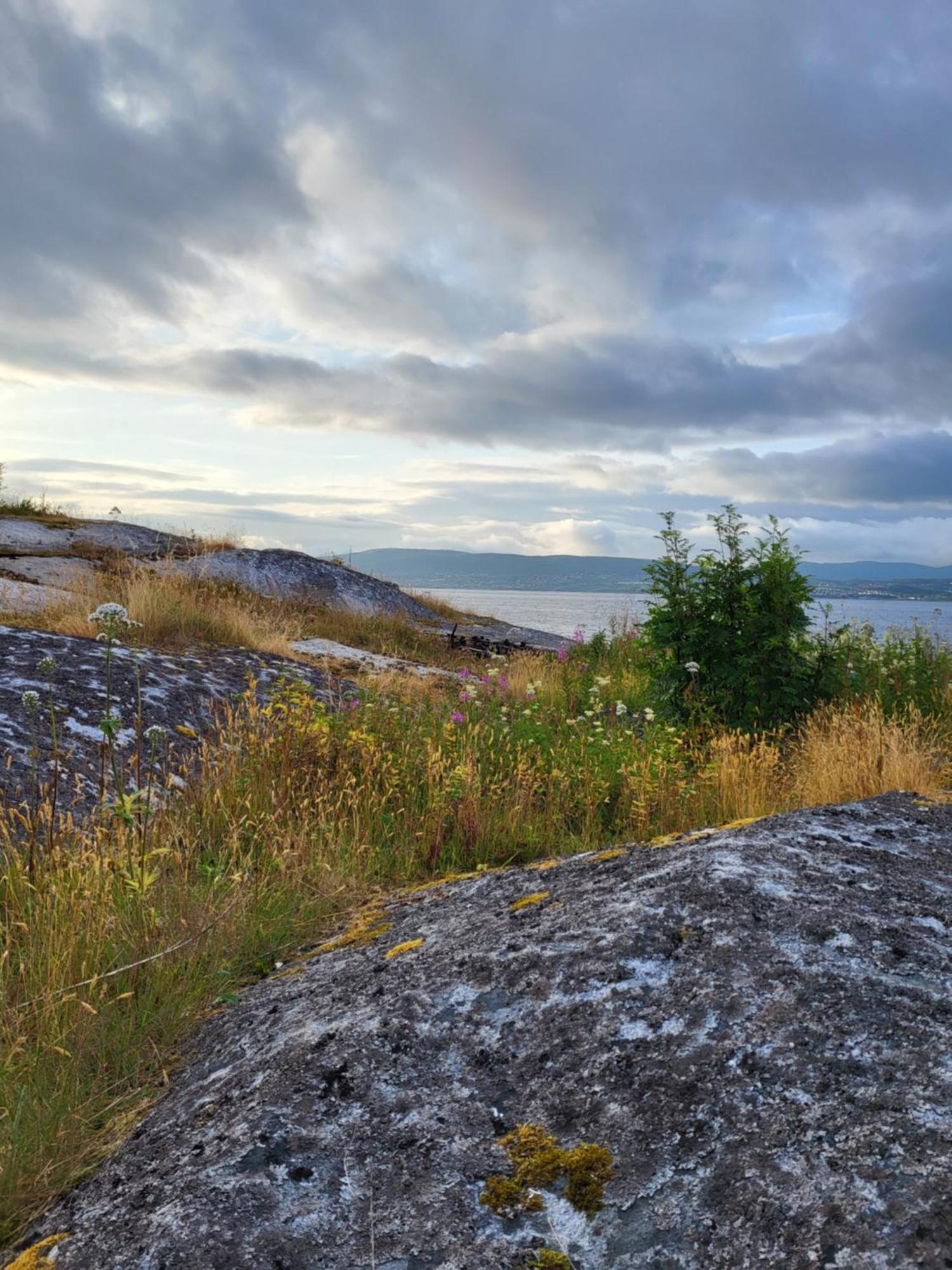 Вилла Paul'S House Saltstraumen Экстерьер фото