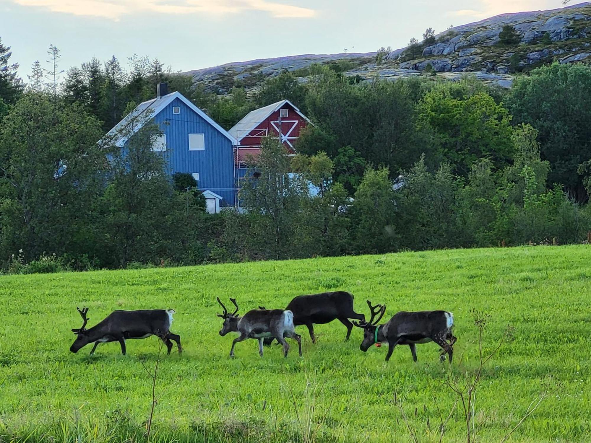 Вилла Paul'S House Saltstraumen Экстерьер фото