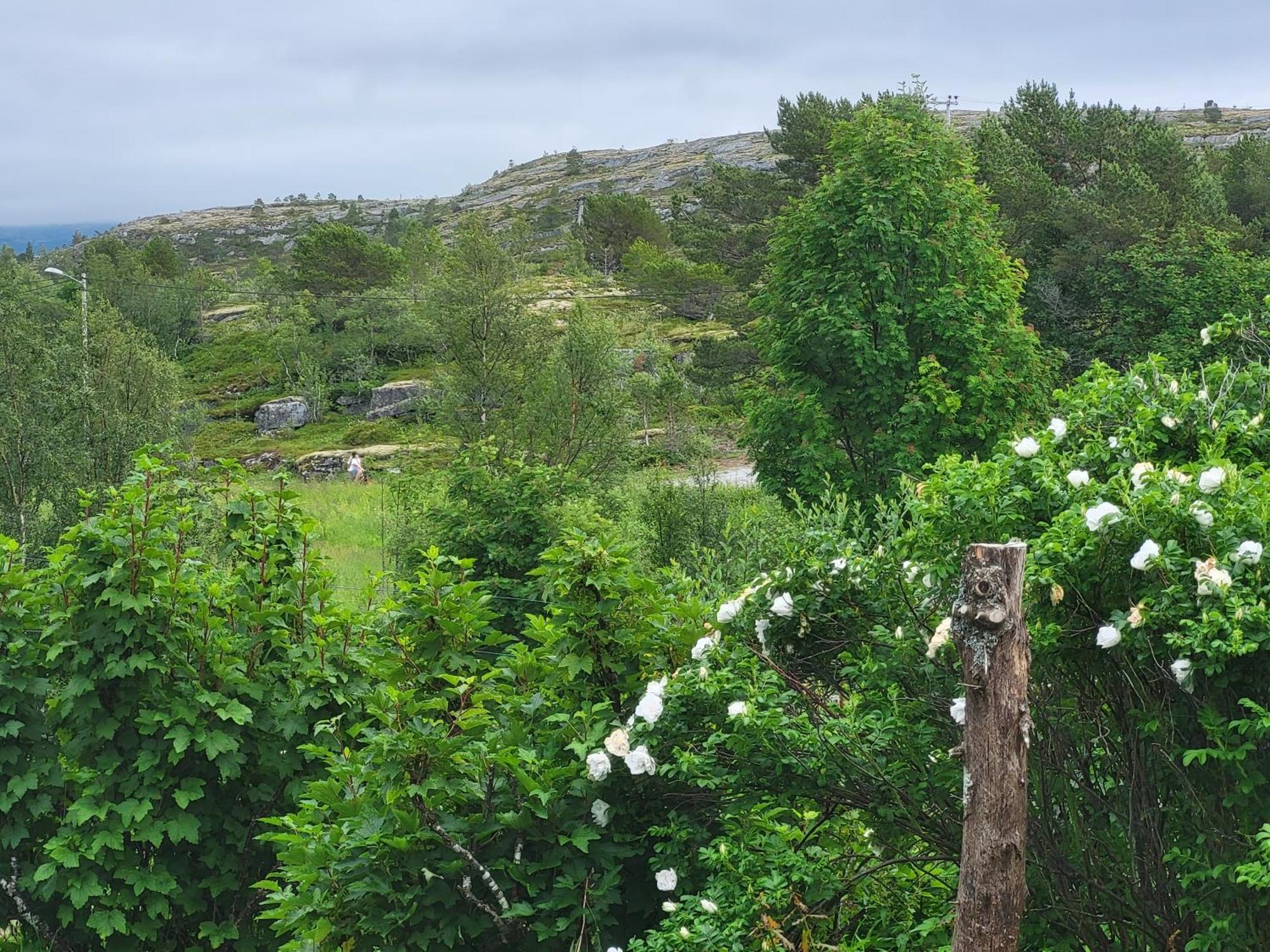 Вилла Paul'S House Saltstraumen Экстерьер фото