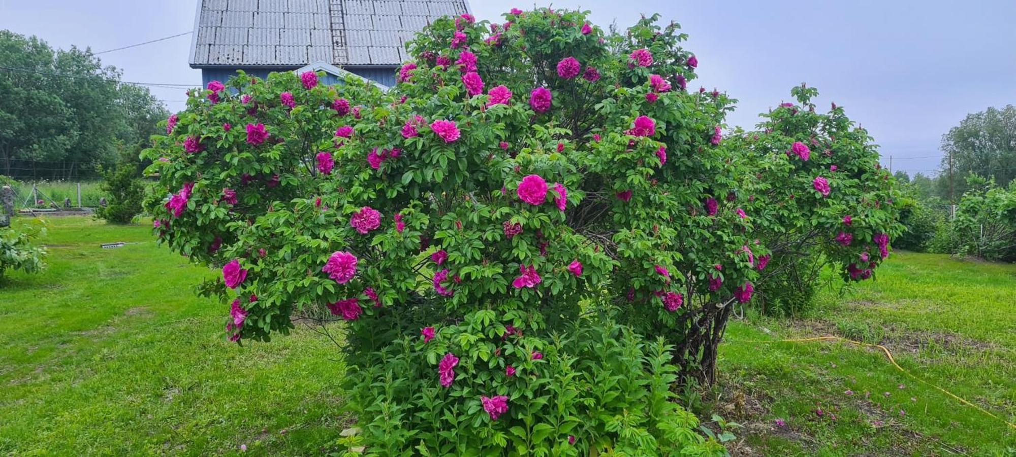 Вилла Paul'S House Saltstraumen Экстерьер фото